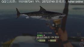 鲨鱼最新爆料视频大全集,揭秘海洋深处的秘密与奇观  第1张